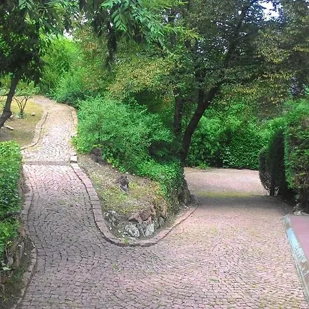 Ahimsa Brusimpiano